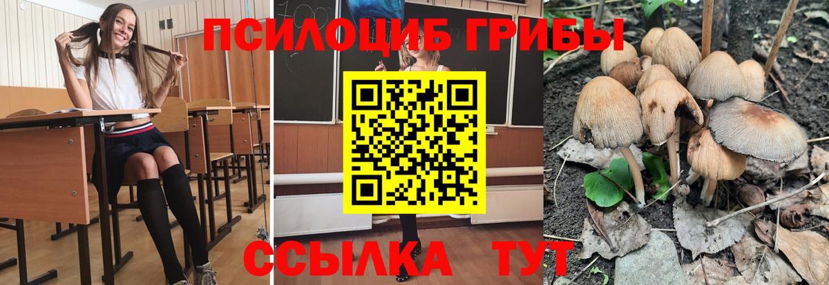 Псилоцибиновые грибы прущие грибы Кострома