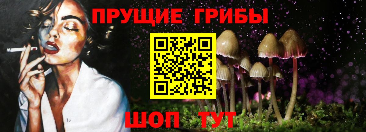 Кострома  Галлюциногенные грибы Magic Shrooms  Вход с VPN 